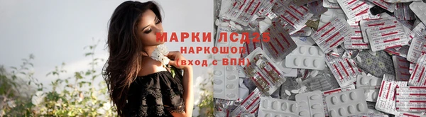 мяу мяу мука Беломорск