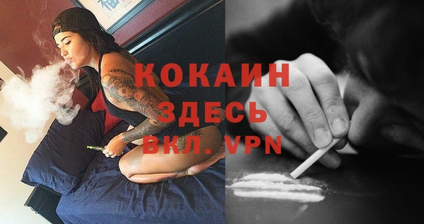 соль курить ск Белокуриха