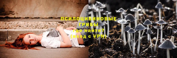 мяу мяу мука Беломорск