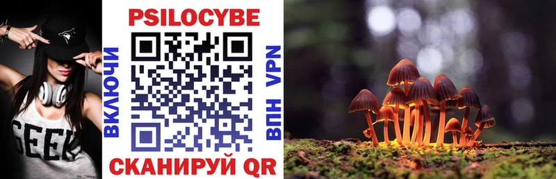 Псилоцибиновые грибы MAGIC MUSHROOMS  Ермолино 